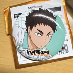 ハイキュー　ハイドリ　岩泉　缶バッジ