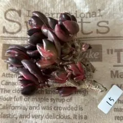 まりまり様 リクエスト 2点 まとめ商品