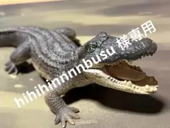 ワニ・鰐・フェイムマスターFame Master Famemaster 4D ③