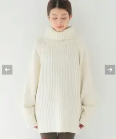 畦 ビッグタートル