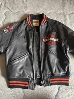 2026年最新】Harley-Davidson メンズ シングルライダースの人気