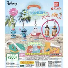“ディズニーキャラクター” めじるしアクセサリー SUMMER【チップ&デール】