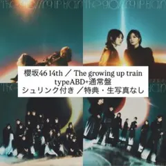 Item thumbnail for item 13244221-b0e9-4ab7-888b-b705452abbc0