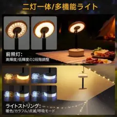 Item thumbnail for item e04d1595-0fce-4406-83e7-9e1313491c8f