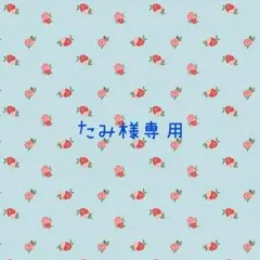たみ様専用