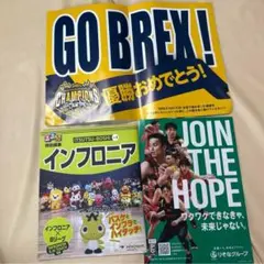 Item thumbnail for item 19da5a78-fede-4b94-8485-052959a0dd78