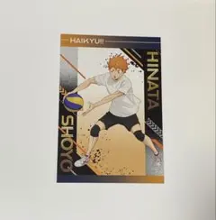 ハイキュー!! ユース・疑似ユース合宿フェア 特典 ポストカード（日向翔陽）