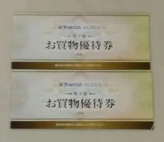 ヤマダ電機 株主優待 お買物優待券 10000円分