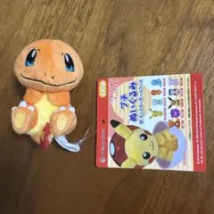 ポケモンセンター プチぬいぐるみ IN モンスターボールケース ヒトカゲ