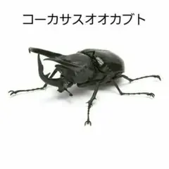 Item thumbnail for item 3f7fd695-913c-49e4-a7e9-bfe646dea865