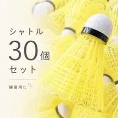 2026年最新】ノック用シャトルの人気アイテム - メルカリ