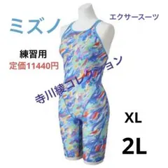 新品 レディース 競泳水着 ミズノ Lサイズ 寺川綾コレクション