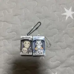ちいかわチョコボックス ラッコ あのこのサムネイル