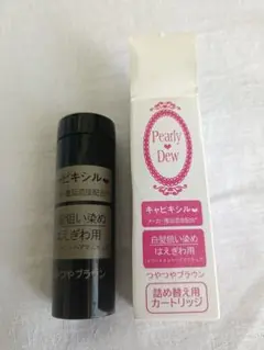 パーリーデュートリートメントヘアマニキュア本体&詰め替え用カートリッジセット パーリーデュー カラーアナリスト33周年 サロン仕上がりを