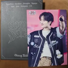 StrayKids リノ ラントレ VR