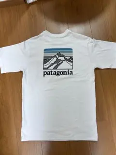 patagonia パタゴニア 半袖 Tシャツ S　ホワイト　ロゴポケット付