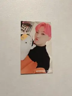 SEVENTEEN ホシ SVT HMV 会場限定 トレカ ぬいぐるみ