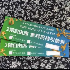 木下マイスター東京　木下アビエル神奈川　ホームマッチ　ペア２枚