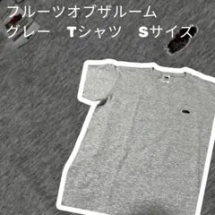 フルーツオブザルーム　Tシャツ　グレー　Sサイズ