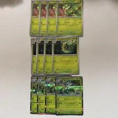 ツタージャCジャノビーCジャローダ　R