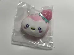 JOCHUM ぽぽ　シークレットブローチ