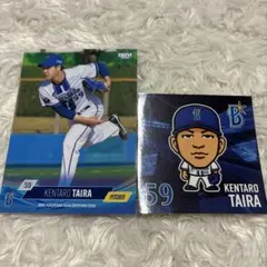 横浜DeNAベイスターズ/BBM2026平良拳太郎カードセット
