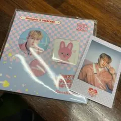 straykids PEN BUTTON SET チャンビン