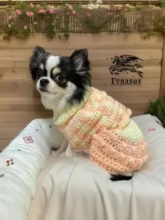 21日まで ハンドメイド　犬服 セットアップ　ニット　手編み ドッグウェア