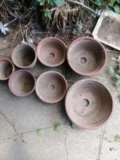 2025年最新】テラコッタ 鉢 9号の人気アイテム - メルカリ