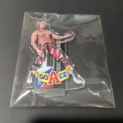 辻 陽太 BIG アクリル スタンド アクスタ くじ 新日本プロレス 辻 陽太 BIG アクリル スタンド アクスタ くじ 新日本プロレス