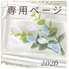 専用ページ090301
