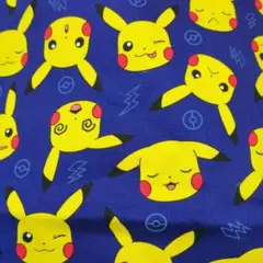 ポケモン　ピカチュウ　生地　オックス　ネイビー　55×41
