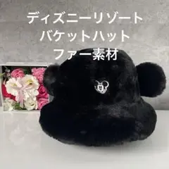 2025年最新】ディズニーバケハの人気アイテム - メルカリ