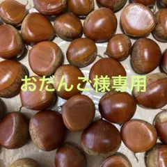 「おだんご様専用」無農薬　生栗　1.1kg