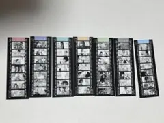 コミック百合姫展 特典 名シーンクリアしおり No.2〜5 4点セット