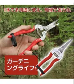 剪定ばさみ 園芸 盆栽 観葉植物 20cmのサムネイル