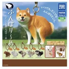 ふんばりーぬ どこでもふんばりーぬ 芝犬　ポメラニアン　2点セット