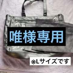 Item thumbnail for item 86344d51-a661-4049-94fa-b2a0aaabc1a0