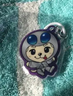 2026年最新】岩田剛典 ロッキー キーホルダーの人気アイテム - メルカリ