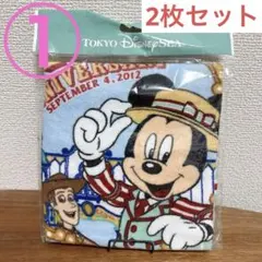 東京ディズニーリゾート タオル 2枚セット
