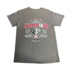 Item thumbnail for item 7604dfb7-5c1f-4d42-b5ad-b7c8c2c5b430