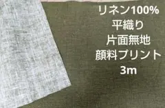 Item thumbnail for item 9da63296-8e3f-4997-9ba7-4c8891bdad70