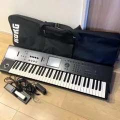 2026年最新】m50 korgの人気アイテム - メルカリ