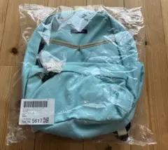 Item thumbnail for item 7ab4e379-9401-44e5-9364-7007fe1d9874