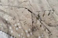 Item thumbnail for item 4efdd785-8d41-426e-b798-ef9fc3285bc6