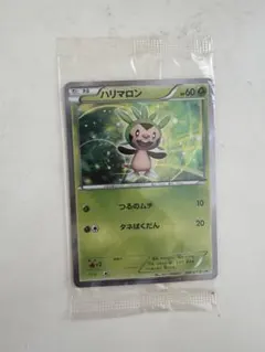 2026年最新】ポケモンカードゲームXY はじめてセット forガールの人気