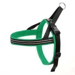 Item thumbnail for item 79d95992-c7e1-4b6c-95e3-05364c28387c