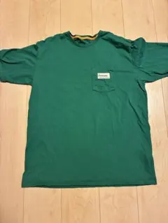 Patagonia グリーンTシャツ