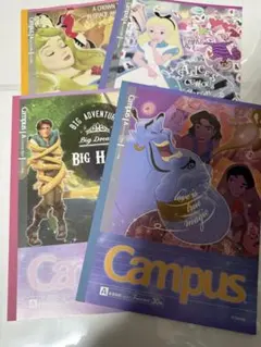 Disney Princesses キャンパス ノート 30ページ 4冊