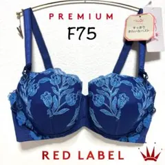 トリンプ TR0088 プレミアム レッドレーベル ブラジャー F65 - メルカリ